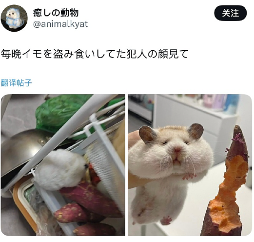 【爆笑】和男朋友在一起10年,发现他孩子都五岁了?网友破防:看完不想谈恋爱!(组图) - 21