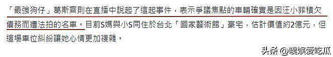聊天记录被曝光,S妈透露汪小菲欠债更多细节(组图) - 18