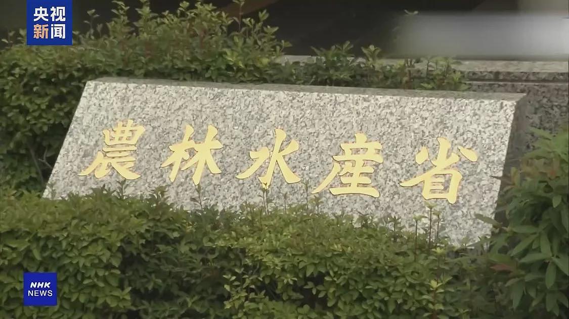 大米价比去年暴涨一倍，“米荒“迫使日本人改吃面条（组图） - 5