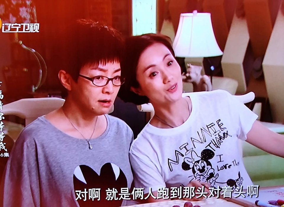 朱媛媛去世!巅峰期回归家庭、中年复出仍是王炸?10个角色个个经典(组图) - 35