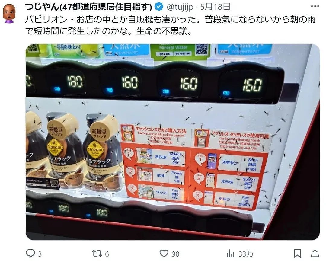 密密麻麻！大阪世博会蚊虫满天飞满地爬，法国馆展品都爬满了，游客一张嘴就吃蛋白质...（组图） - 11
