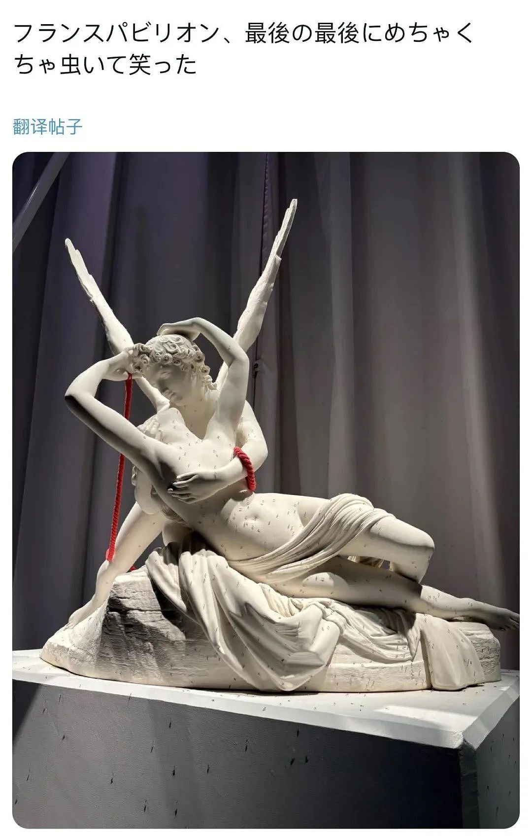 密密麻麻！大阪世博会蚊虫满天飞满地爬，法国馆展品都爬满了，游客一张嘴就吃蛋白质...（组图） - 18
