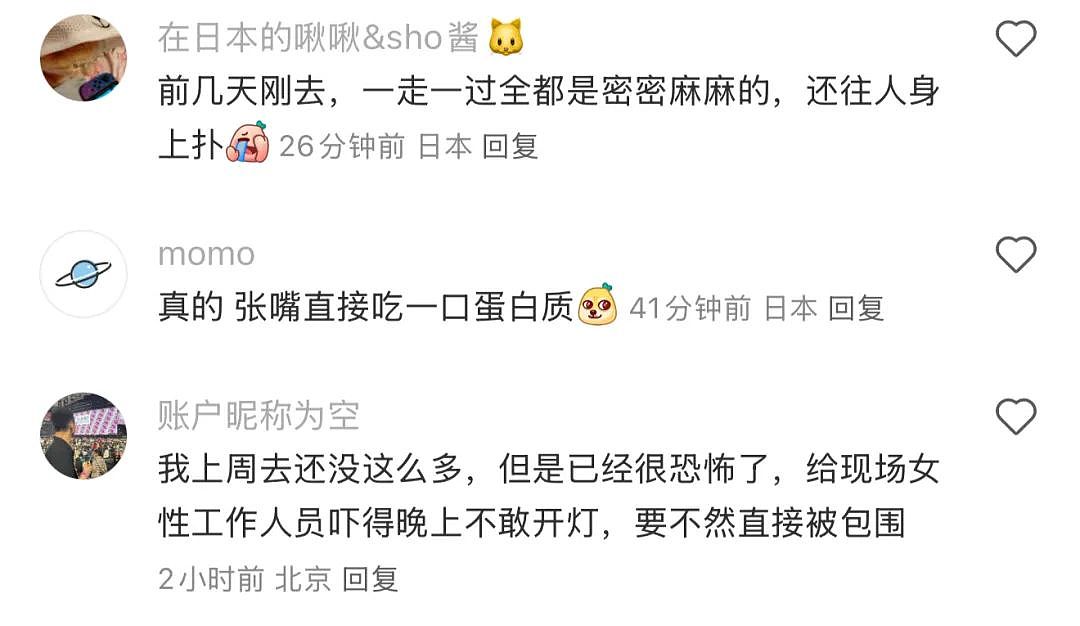 密密麻麻！大阪世博会蚊虫满天飞满地爬，法国馆展品都爬满了，游客一张嘴就吃蛋白质...（组图） - 26