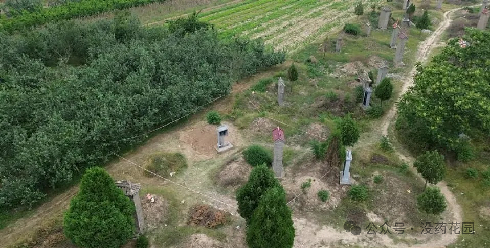 山西男童被虐待致死，继父被判死刑，这些孩子都死在生父母的现任手上…（组图） - 6