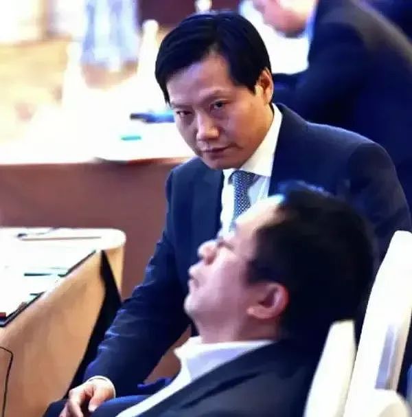 雷军收手吧,外面全是黑粉(组图) - 19
