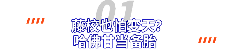 特朗普禁止哈佛招收国际生！不转学就遣返，留学生天塌了……（组图） - 2