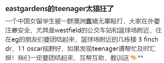 新州警方紧急发声!悉尼华人宝妈接娃路上被暴打,华人集体愤怒(组图) - 27