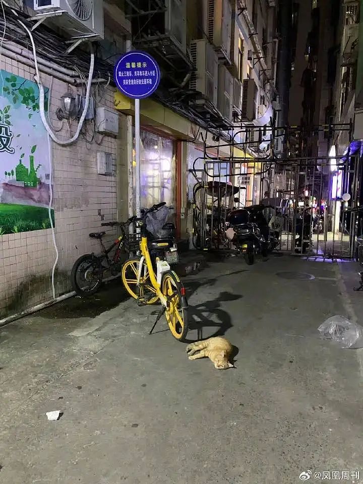 深圳少年遭亲叔性侵7年，全家集体包庇嫌犯，“为什么不拒绝，还继续去给他搞？”（组图） - 6