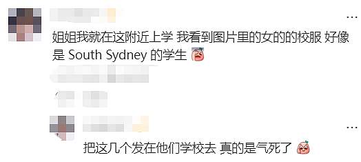 新州警方紧急发声!悉尼华人宝妈接娃路上被暴打,华人集体愤怒(组图) - 39