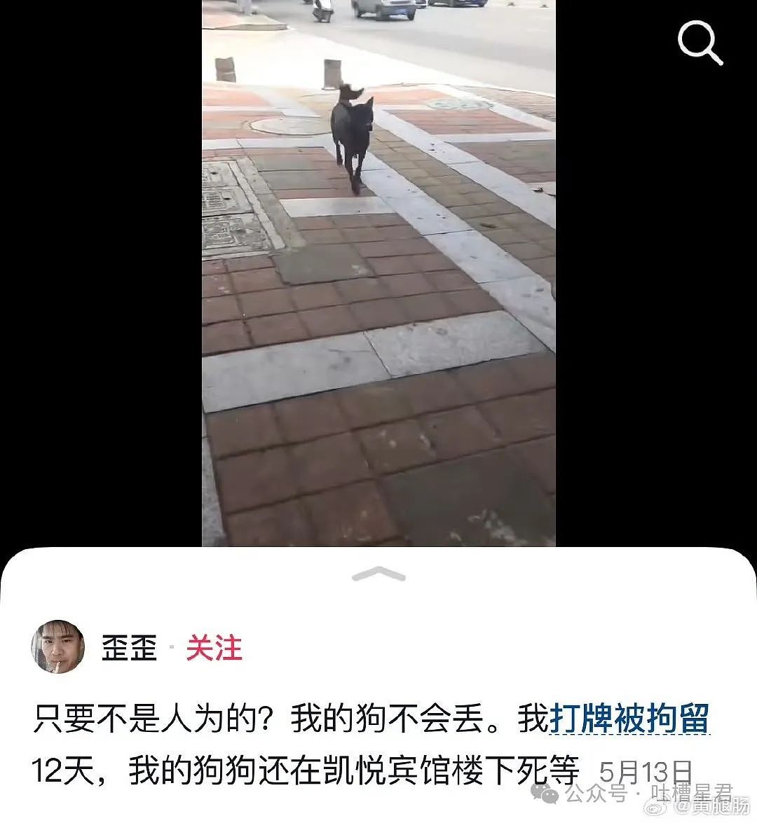 【爆笑】男朋友和女同事这样算暧昧不清吗...？啊啊啊破锅配烂盖绝配（组图） - 52