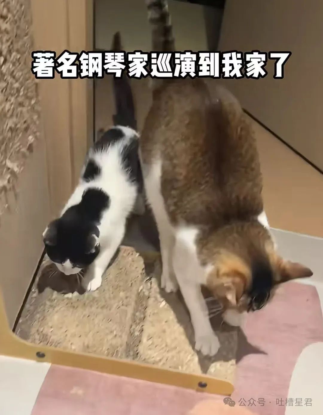 【爆笑】男朋友和女同事这样算暧昧不清吗...？啊啊啊破锅配烂盖绝配（组图） - 21