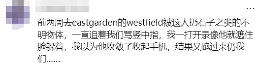 新州警方紧急发声!悉尼华人宝妈接娃路上被暴打,华人集体愤怒(组图) - 32