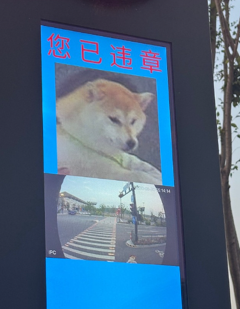 【爆笑】男朋友出轨后提分手，他给我转了52万元（视频/组图） - 19