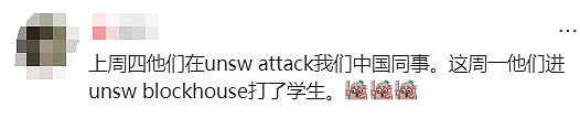 新州警方紧急发声!悉尼华人宝妈接娃路上被暴打,华人集体愤怒(组图) - 30