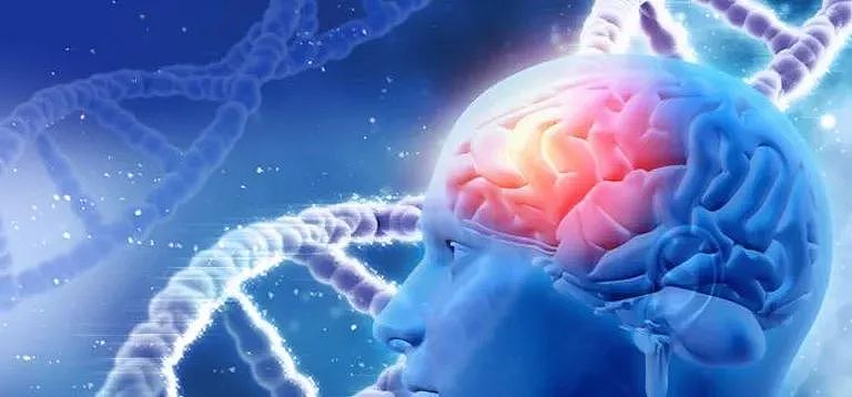 最新发现:这个几乎人人都得过的病,和老年痴呆有关,澳洲今天神药上市!(组图) - 3