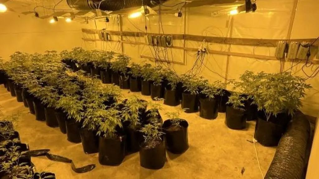 7月1日执行最严监管，警方大规模搜查西区；亚裔团伙被查，缴款率提高；退休金或多赚10万纽，低收入者或受冲击（组图） - 9