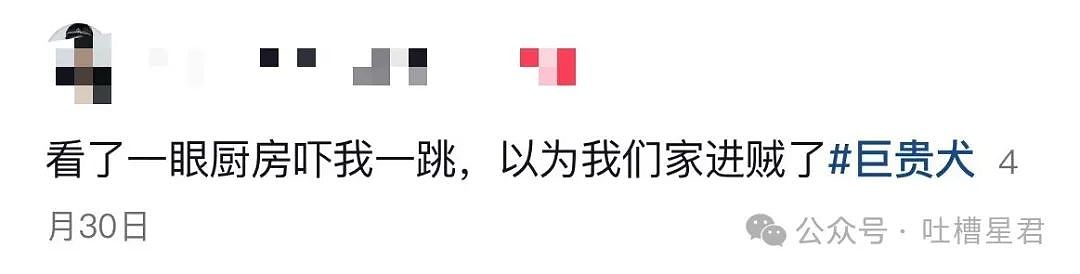 【爆笑】男朋友和女同事这样算暧昧不清吗...？啊啊啊破锅配烂盖绝配（组图） - 48
