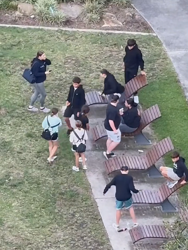 新州警方紧急发声!悉尼华人宝妈接娃路上被暴打,华人集体愤怒(组图) - 25
