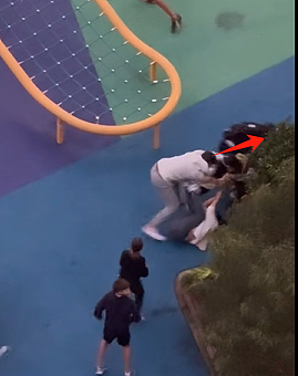 新州警方紧急发声!悉尼华人宝妈接娃路上被暴打,华人集体愤怒(组图) - 6
