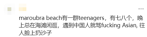 新州警方紧急发声!悉尼华人宝妈接娃路上被暴打,华人集体愤怒(组图) - 34