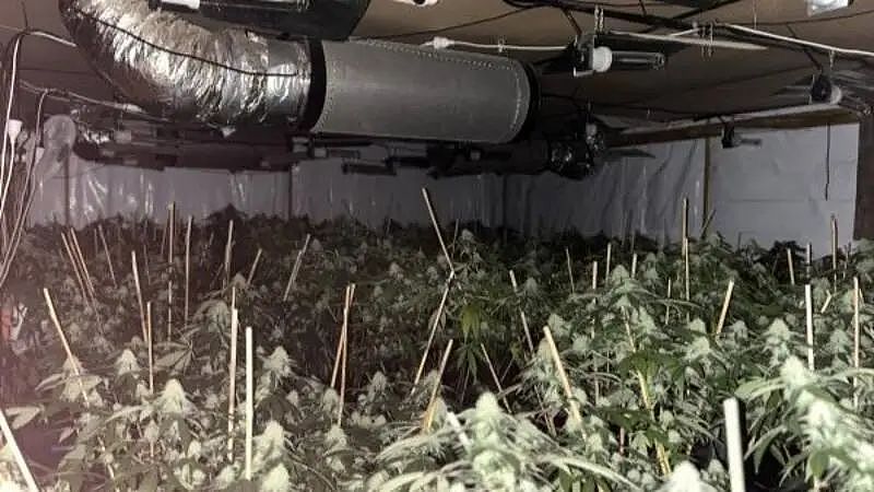 7月1日执行最严监管，警方大规模搜查西区；亚裔团伙被查，缴款率提高；退休金或多赚10万纽，低收入者或受冲击（组图） - 10