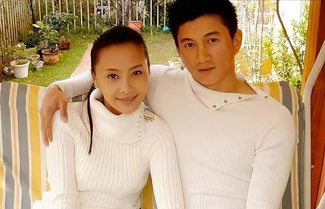 离婚传闻甚嚣尘上,“一言不发”的刘诗诗,终不再顾忌所谓的体面(组图) - 6