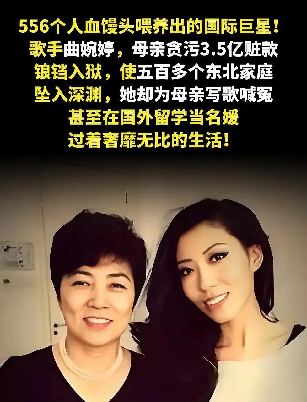 黄杨钿甜家谎言，让我想起雅安地震时的锅和草戒指（组图） - 7