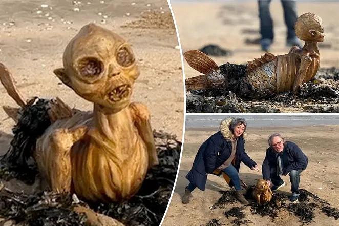 英国海滩惊现神秘骨架生物，鱼尾人形，数十万人百思不得其解（组图） - 1