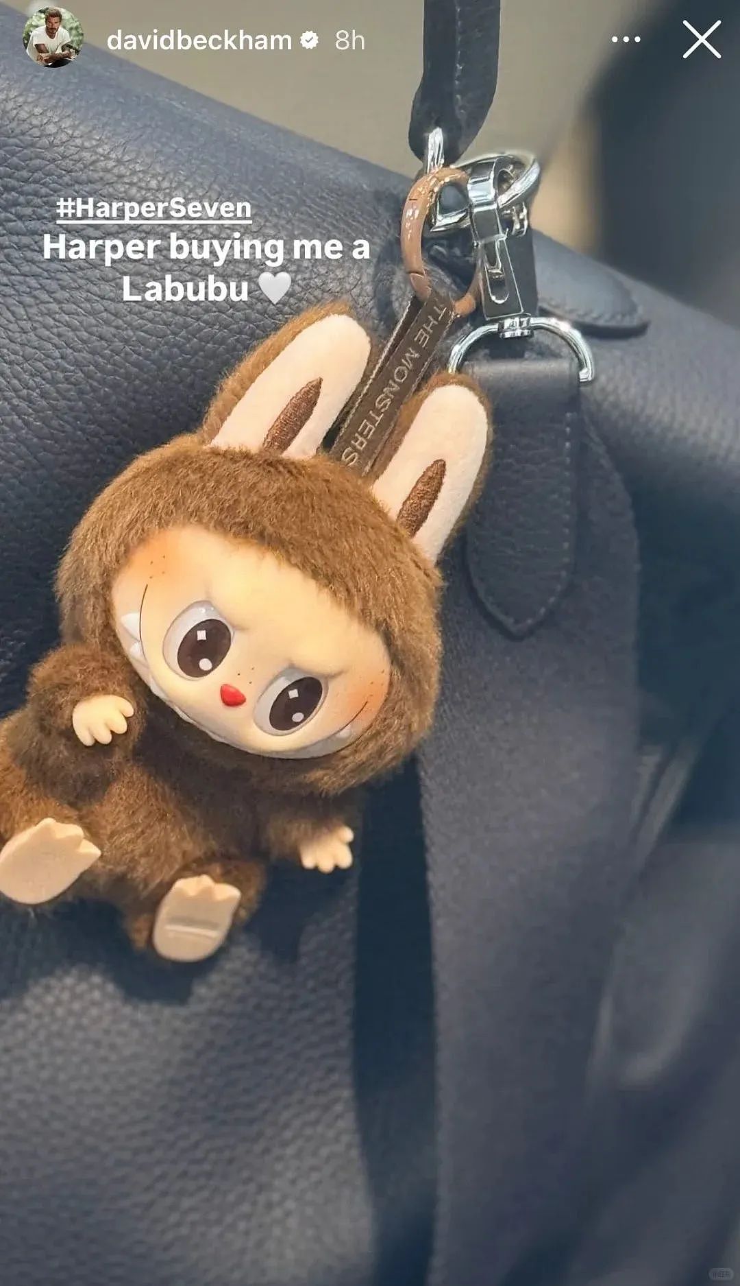 连贝克汉姆都上头，Labubu在全球杀疯了！（组图） - 1