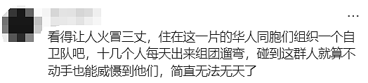 新州警方紧急发声!悉尼华人宝妈接娃路上被暴打,华人集体愤怒(组图) - 21