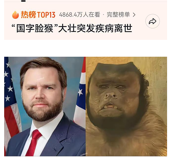 “国字脸”网红猴去世,网友直言美国副总统万斯真命苦,想让他回中国一趟(组图) - 3