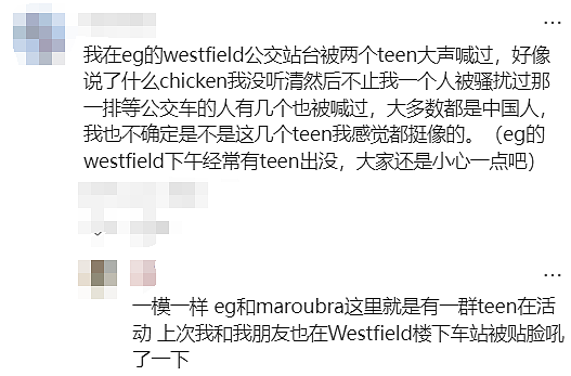 新州警方紧急发声!悉尼华人宝妈接娃路上被暴打,华人集体愤怒(组图) - 29
