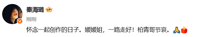 泪目！朱媛媛遗体已火化，曾谈生命最后想做的2件事（组图） - 6