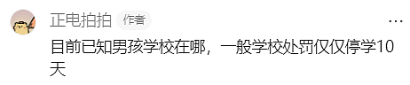 新州警方紧急发声!悉尼华人宝妈接娃路上被暴打,华人集体愤怒(组图) - 38