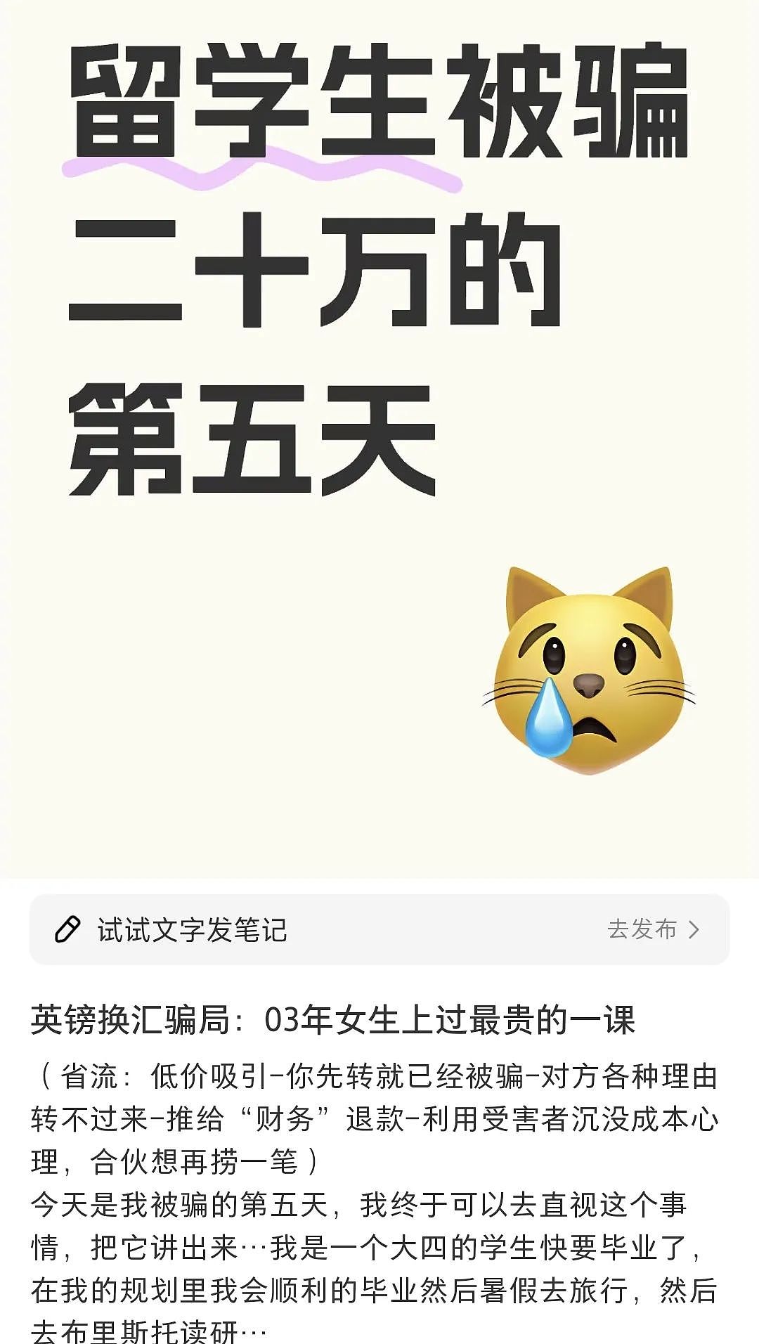 留学生警惕！换汇省下的几百块，让我赔掉20万+背案底（组图） - 3