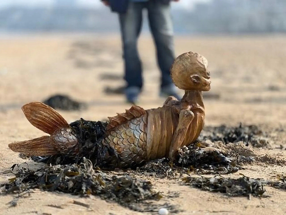 英国海滩惊现神秘骨架生物，鱼尾人形，数十万人百思不得其解（组图） - 4