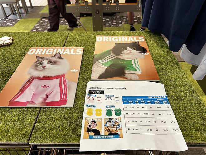 宠物包售价899元，阿迪达斯跨界盯上“铲屎官”钱包（组图） - 1