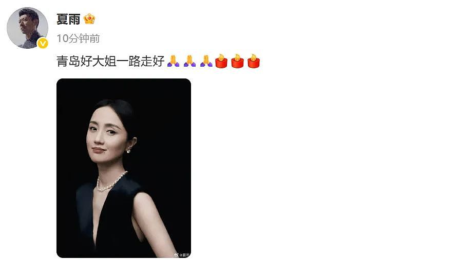 泪目！朱媛媛遗体已火化，曾谈生命最后想做的2件事（组图） - 8