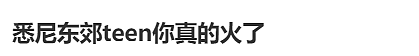 新州警方紧急发声!悉尼华人宝妈接娃路上被暴打,华人集体愤怒(组图) - 37