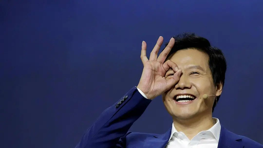 雷军收手吧,外面全是黑粉(组图) - 32