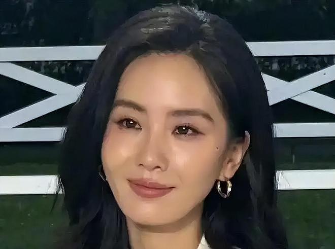 离婚传闻甚嚣尘上,“一言不发”的刘诗诗,终不再顾忌所谓的体面(组图) - 28