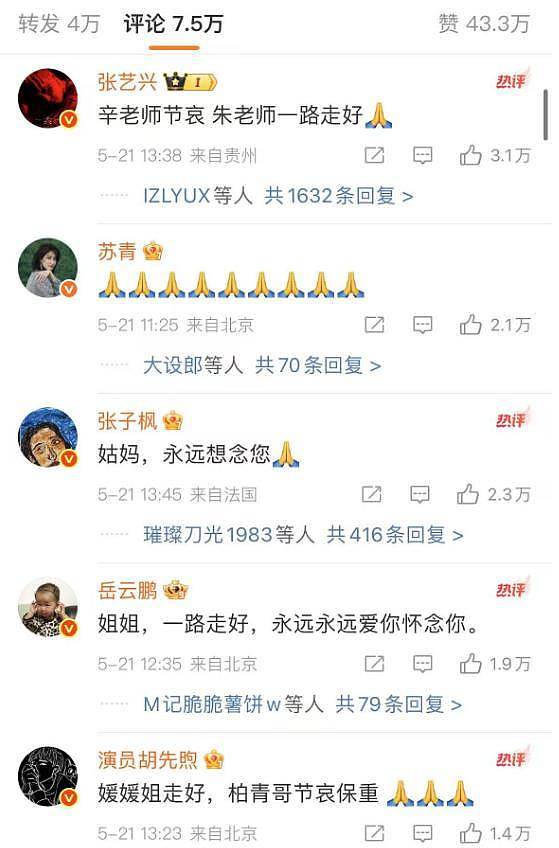 辛柏青朋友圈曝光！师父公开与朱媛媛聊天记录...（组图） - 17