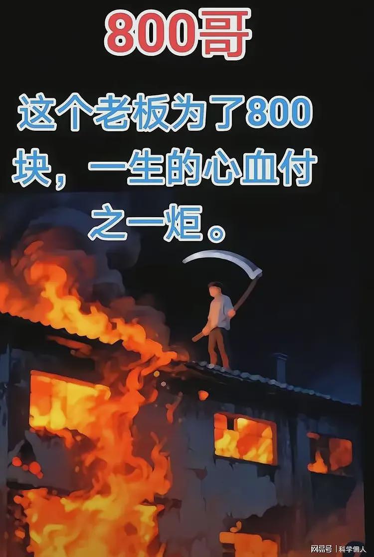 老板为了800块亏惨了：一场800块的纠纷如何毁掉千万资产（组图） - 1
