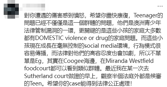 新州警方紧急发声!悉尼华人宝妈接娃路上被暴打,华人集体愤怒(组图) - 17