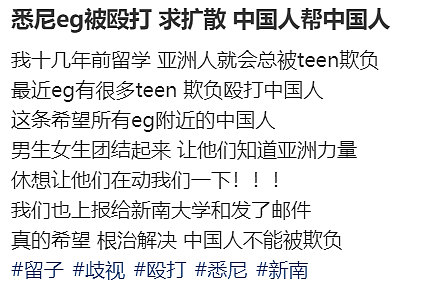新州警方紧急发声!悉尼华人宝妈接娃路上被暴打,华人集体愤怒(组图) - 26