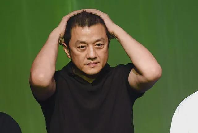 李亚鹏不再隐瞒!坦言地产公司卖了70多亿,破产或与王菲有关系(组图) - 21