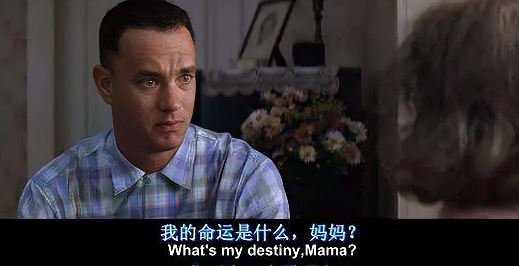 全网群嘲的丁真,被资本做局了?(组图) - 25