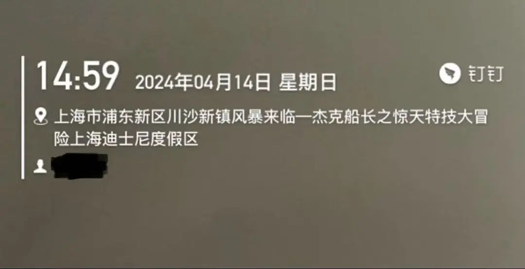 【爆笑】“电脑没关，上司和我的猫聊了一晚上......” 哈哈哈哈哈哈哈好精彩的对话（组图） - 81