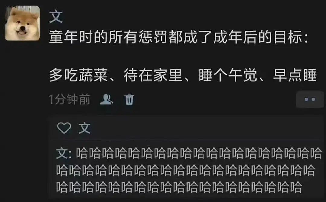 【爆笑】“电脑没关，上司和我的猫聊了一晚上......” 哈哈哈哈哈哈哈好精彩的对话（组图） - 19