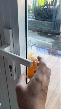 【爆笑】“电脑没关，上司和我的猫聊了一晚上......” 哈哈哈哈哈哈哈好精彩的对话（组图） - 79